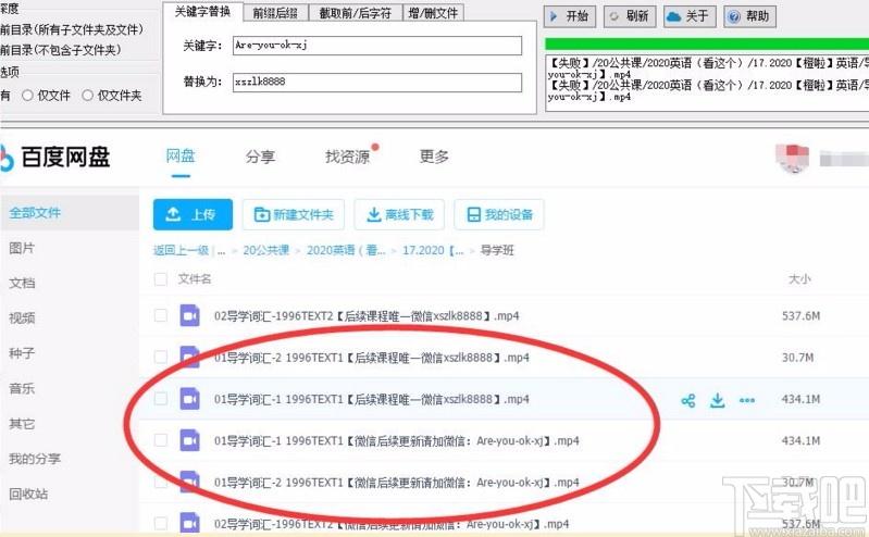 邓西百度网盘批量改名工具,百度网盘改名软件,百度网盘改名