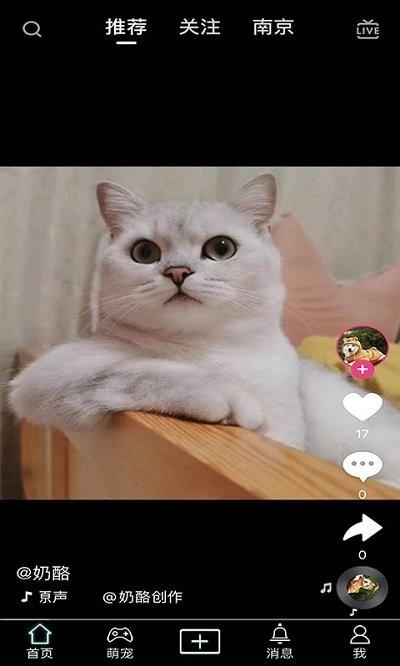 抖宠app下载,抖宠,宠物app,短视频app
